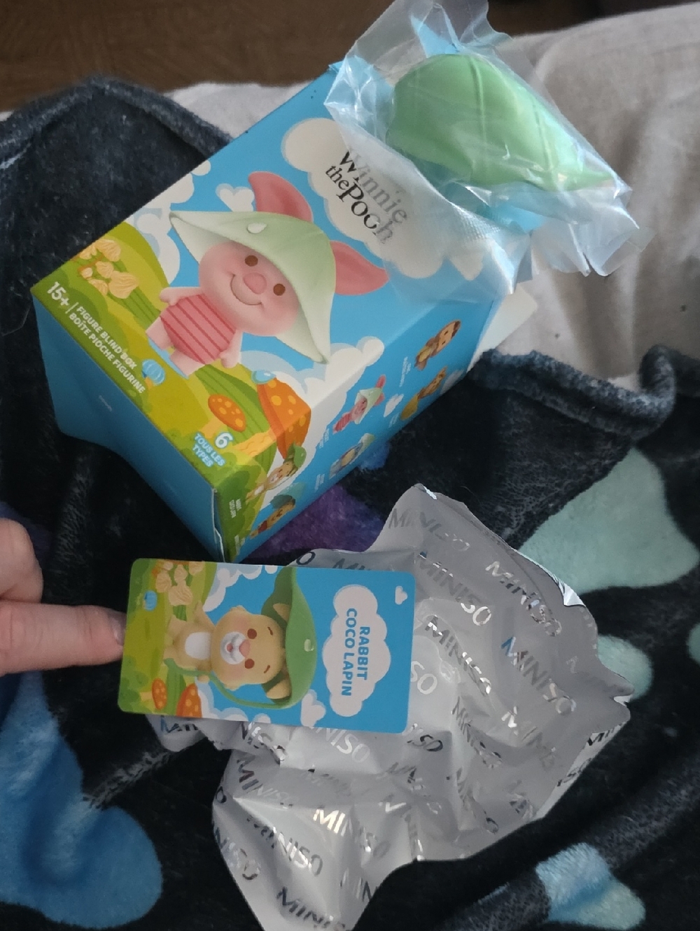 Winnie The Pooh Miniso Blind Box- Rabbit